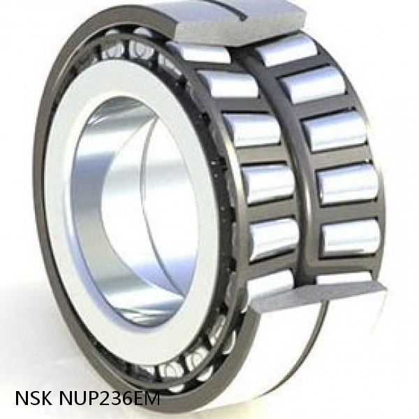 NUP236EM NSK Tapered Roller bearings double-row
