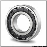 50 mm x 90 mm x 23 mm  ISB NUP 2210 cylindrical roller bearings