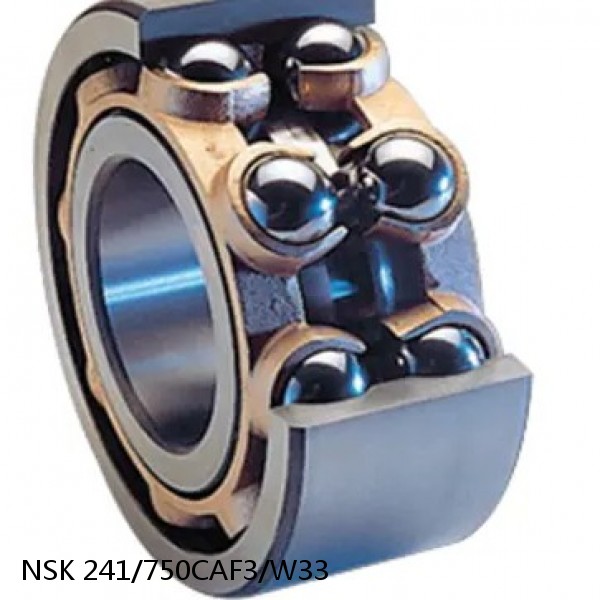 241/750CAF3/W33 NSK Double row double row bearings #1 small image