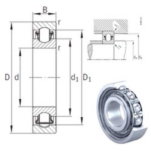 25 mm x 62 mm x 17 mm  INA BXRE305 needle roller bearings #3 image